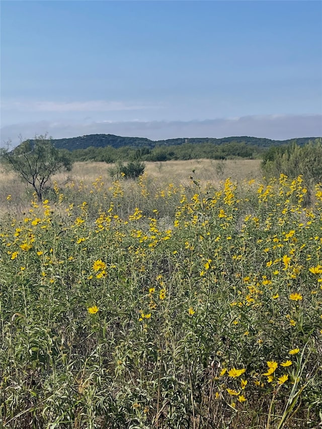 TBD US Highway 83, Tuscola TX, 79562 land for sale