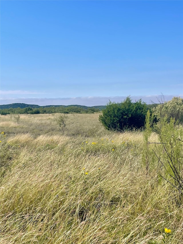 Listing photo 2 for TBD US Highway 83, Tuscola TX 79562