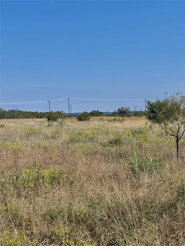 Listing photo 3 for TBD US Highway 83, Tuscola TX 79562