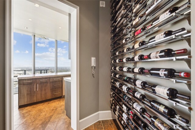 wine cellar with light wood-type flooring