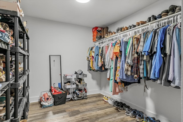 walk in closet with hardwood / wood-style flooring