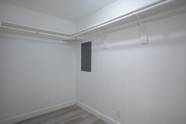 spacious closet featuring electric panel and hardwood / wood-style flooring