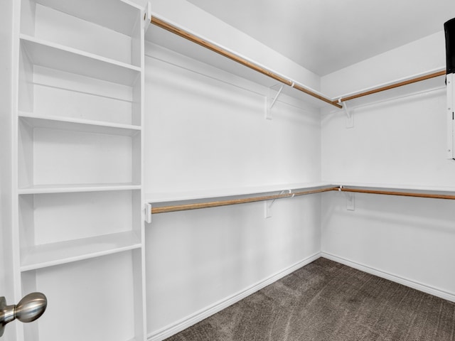 walk in closet featuring dark carpet