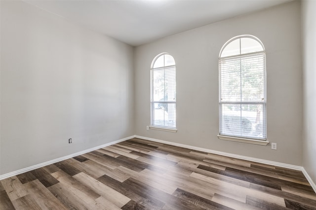 spare room featuring hardwood / wood-style flooring and a healthy amount of sunlight