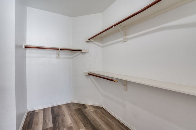 walk in closet featuring wood-type flooring