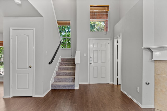 foyer with dark wood-type flooring