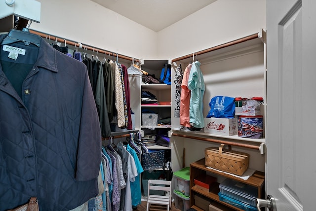 view of walk in closet