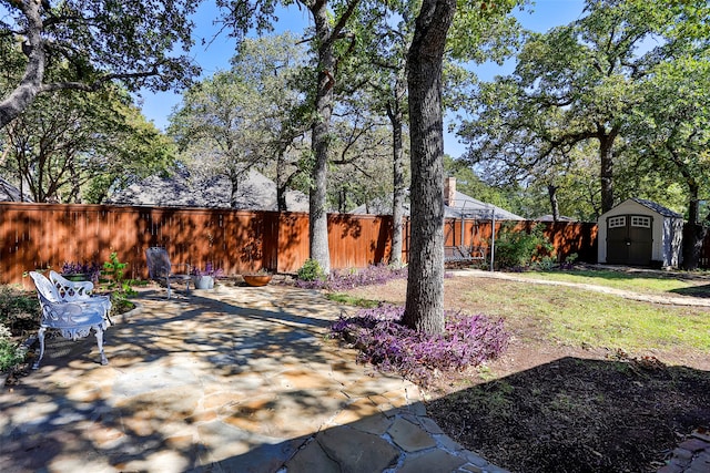 view of yard with a patio and a storage shed