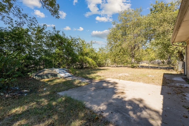 view of yard featuring a patio area