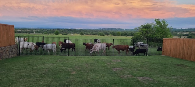 yard at dusk featuring a rural view