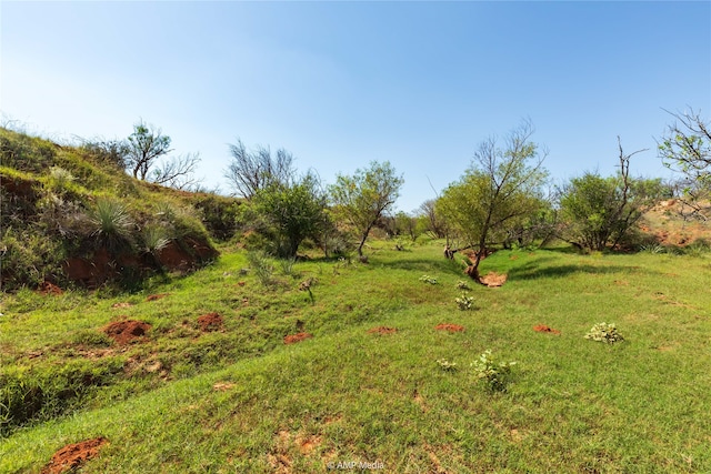 Listing photo 3 for TBD State Highway 70 N, Rotan TX 79546