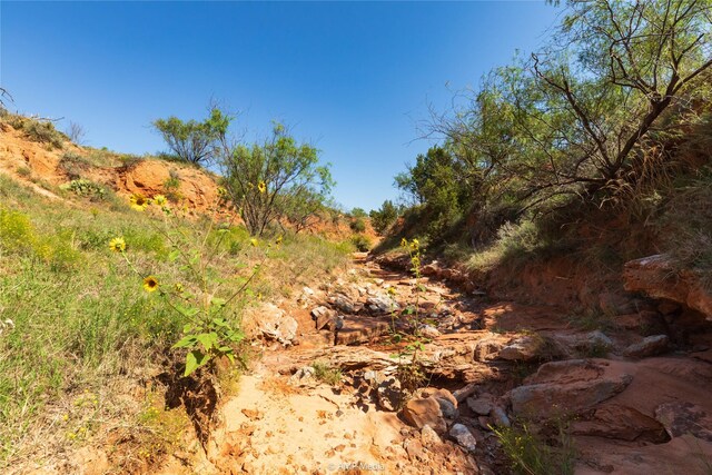 TBD State Highway 70 N, Rotan, TX 79546