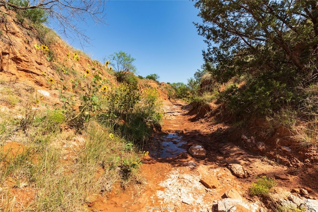 TBD State Highway 70 N, Rotan, TX 79546