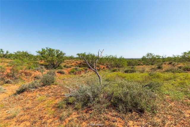 TBD State Highway 70 N, Rotan, TX 79546