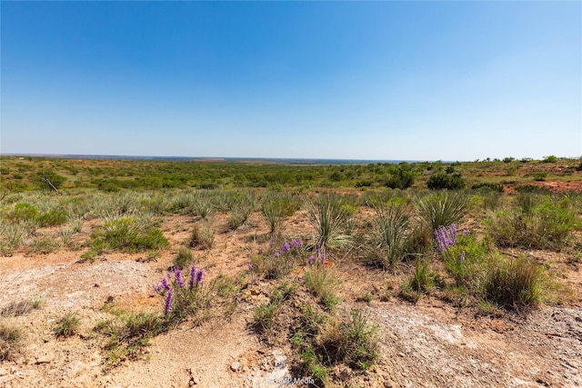 TBD State Highway 70 N, Rotan, TX 79546
