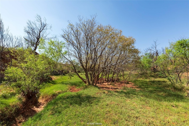 TBD State Highway 70 N, Rotan, TX 79546