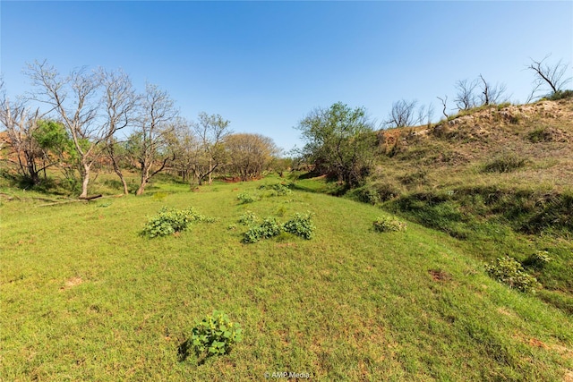TBD State Highway 70 N, Rotan, TX 79546