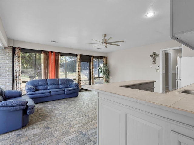 living room featuring ceiling fan