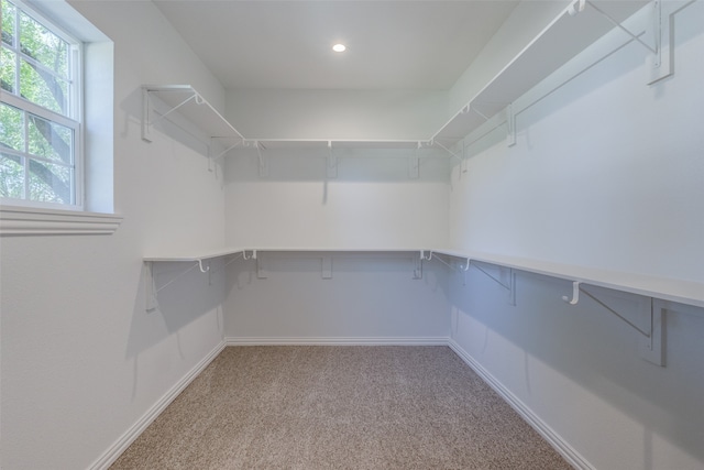 walk in closet with light colored carpet