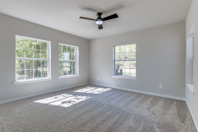 unfurnished room with ceiling fan, carpet floors, and plenty of natural light