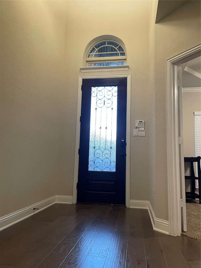 foyer featuring ornamental molding and dark hardwood / wood-style flooring