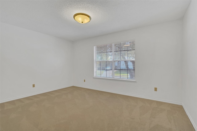 spare room with carpet and a textured ceiling