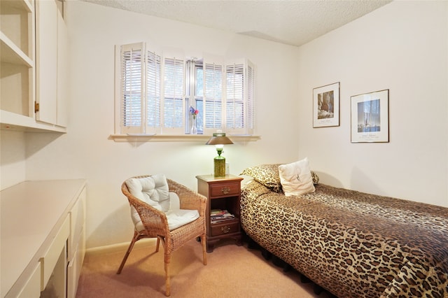 carpeted bedroom with a textured ceiling