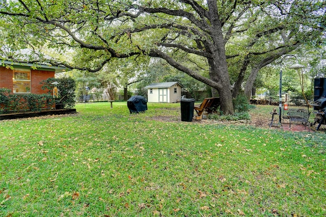 view of yard with a storage unit