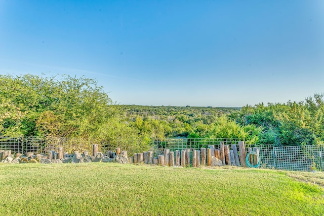 565 Turkey Ridge Rd, Stephenville, TX 76401 - view of yard