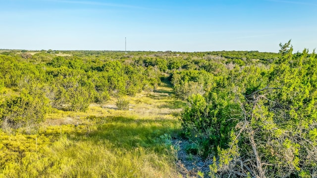 565 Turkey Ridge Rd, Stephenville, TX 76401 - view of local wilderness