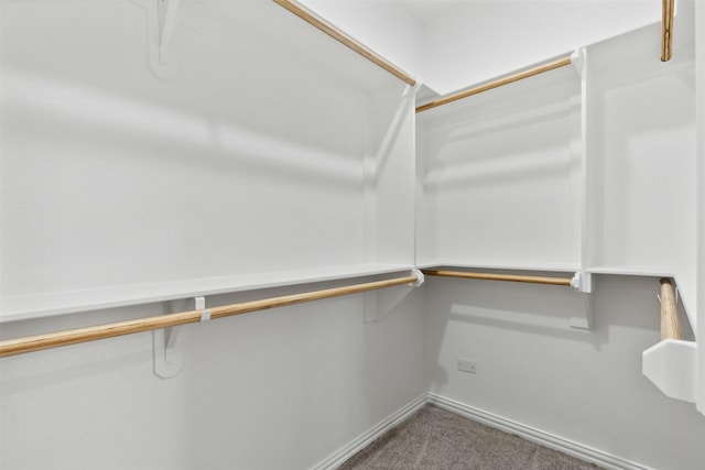 spacious closet with carpet flooring