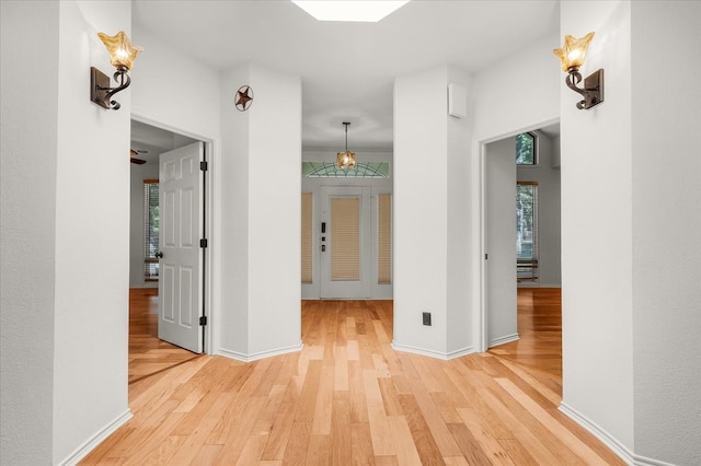 hall featuring wood-type flooring and plenty of natural light