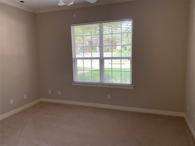 carpeted spare room featuring ornamental molding and ceiling fan