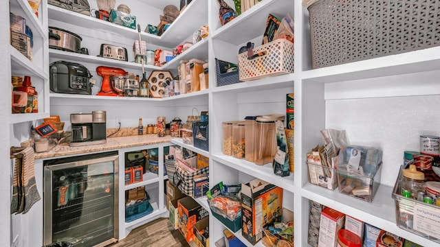 pantry with wine cooler