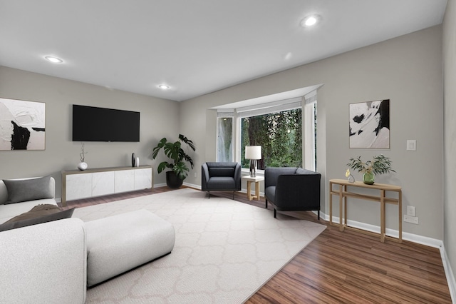 living room with hardwood / wood-style floors