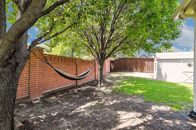 view of yard with a shed