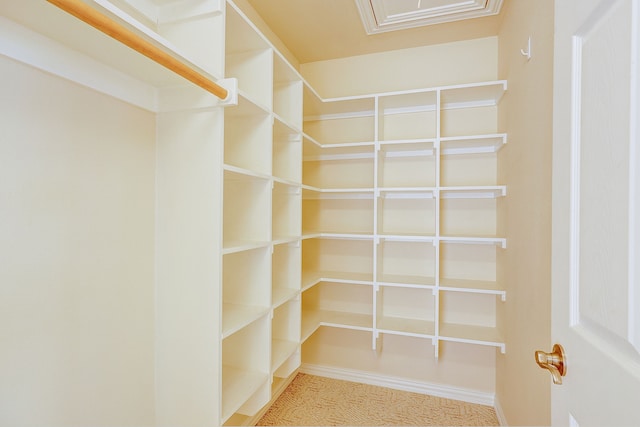 spacious closet with carpet