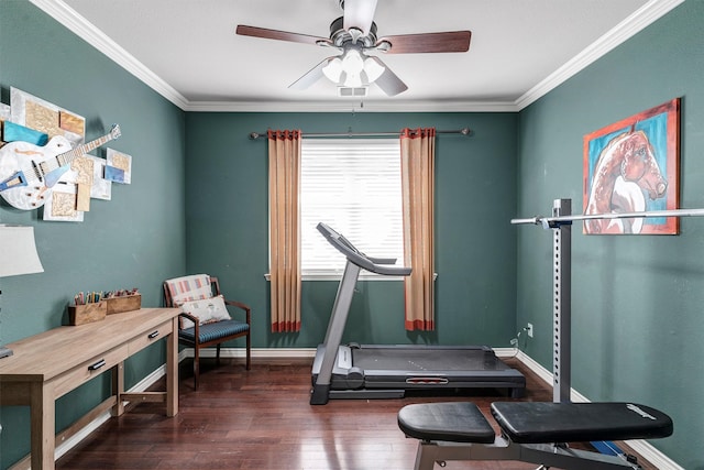 workout area with crown molding, ceiling fan, and dark hardwood / wood-style flooring