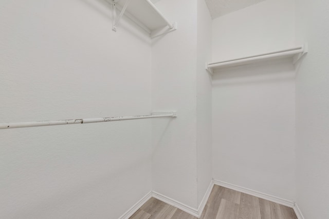 spacious closet featuring light wood-type flooring