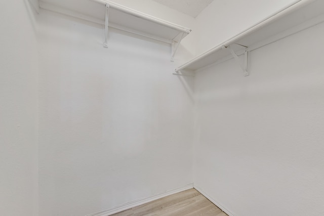 spacious closet with wood-type flooring