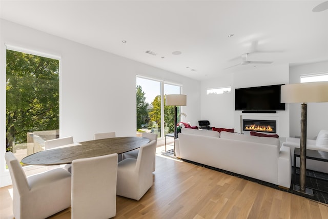 dining area with light hardwood / wood-style floors and ceiling fan