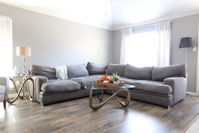 living room with crown molding and dark wood-type flooring