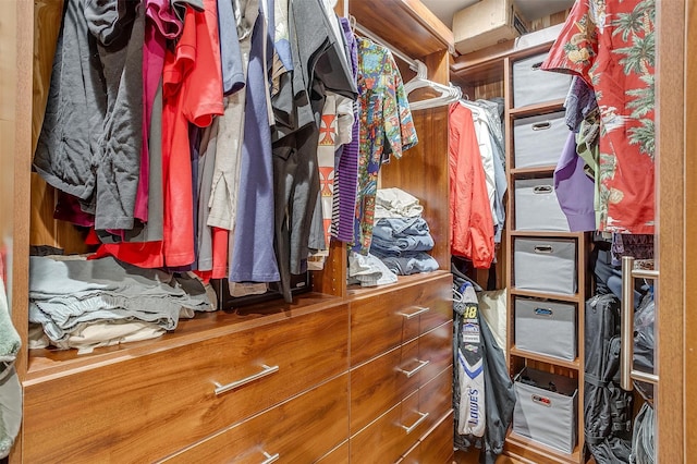 view of spacious closet