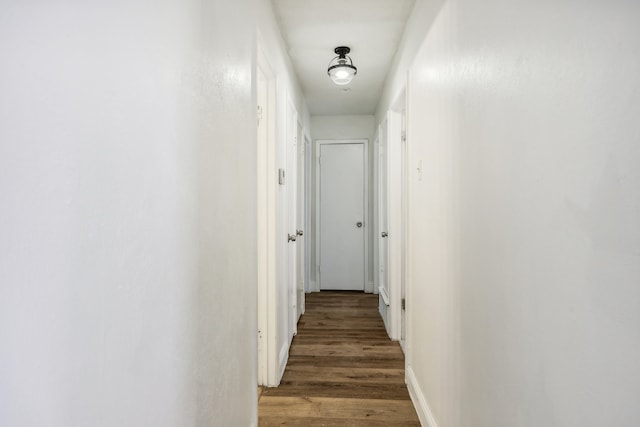 corridor with dark hardwood / wood-style floors