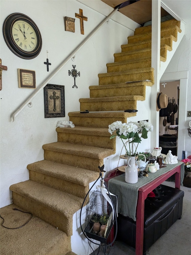 stairway with carpet