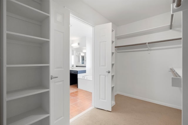 spacious closet featuring carpet