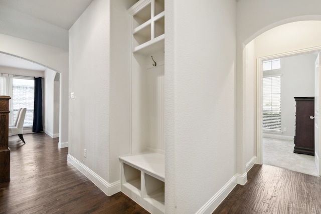 mudroom featuring plenty of natural light and dark hardwood / wood-style floors