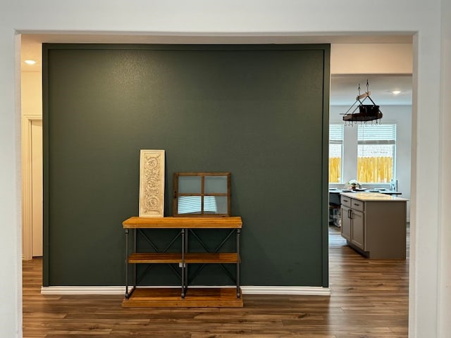 misc room featuring dark hardwood / wood-style flooring