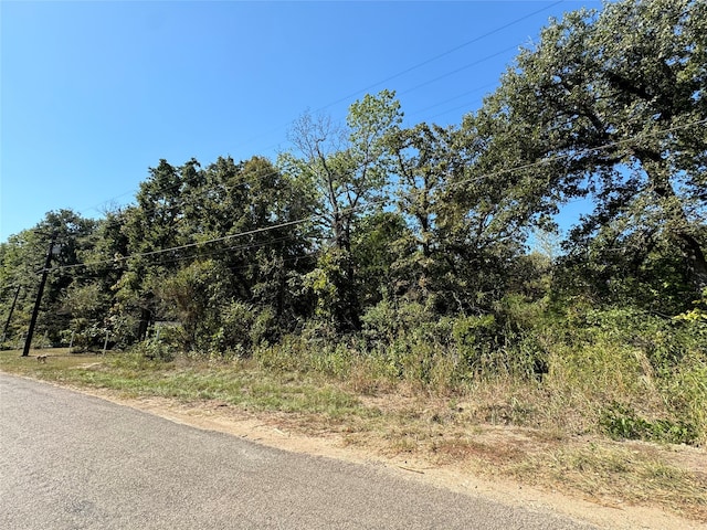 Listing photo 3 for 190 Geronimo Trl, Mabank TX 75156