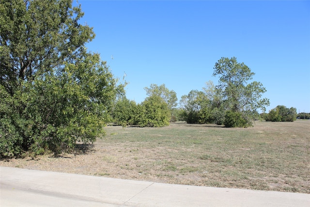 view of yard with a rural view